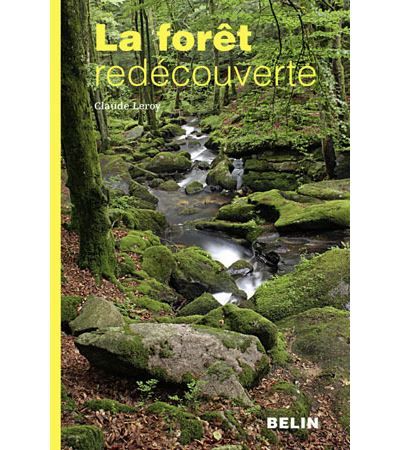 La forêt redécouverte Une initiation aux secrets de la forêt