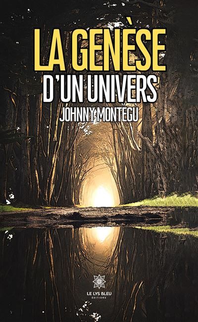 La genèse d'un univers