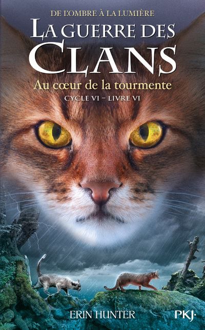 La guerre des clans - Cycle VI : De l'ombre à la lumière - Tome 6 Au coeur de la tourmente