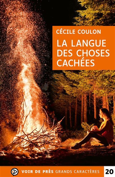 La langue des choses cachees Grands caractères, édition accessible pour les malvoyants
