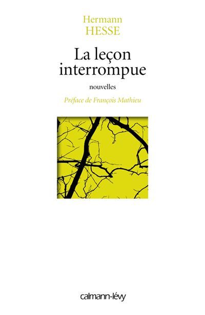 La lecon interrompue