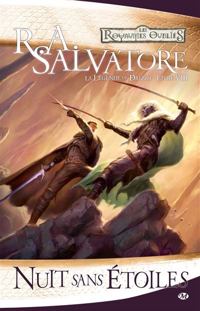 La Légende de Drizzt, T8 : Nuit sans étoiles