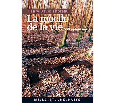 La Moelle de la vie 500 Aphorismes