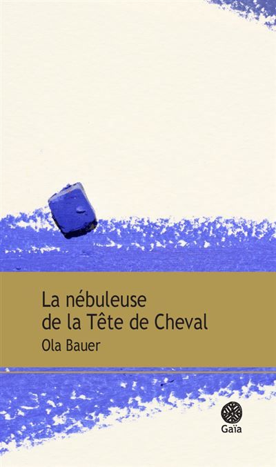 La nébuleuse de la Tête de cheval