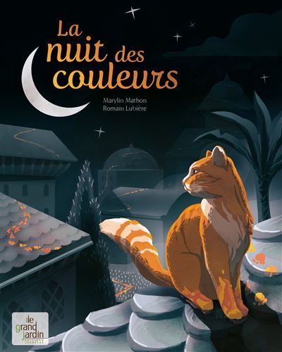 La nuit des couleurs - Romain Lubière