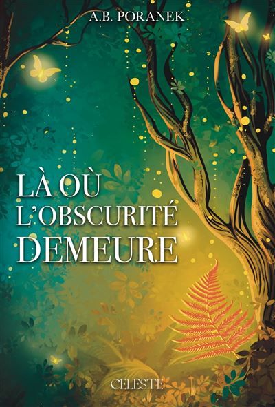 La ou l'obscurité demeure