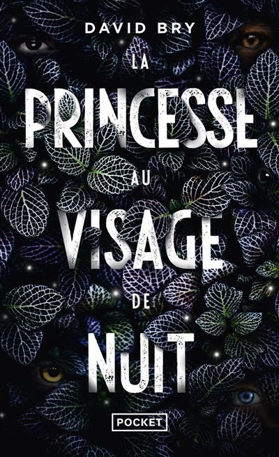 La Princesse au visage de nuit
