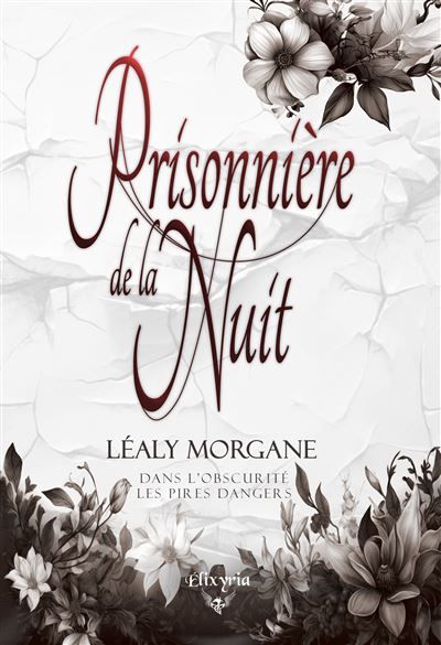 La prisonnière de la nuit