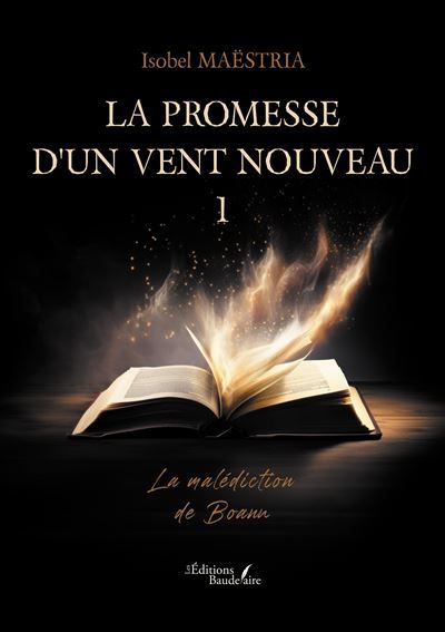 La promesse d'un vent nouveau - 1 La malédiction de Boann