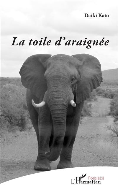 La toile d'araignée