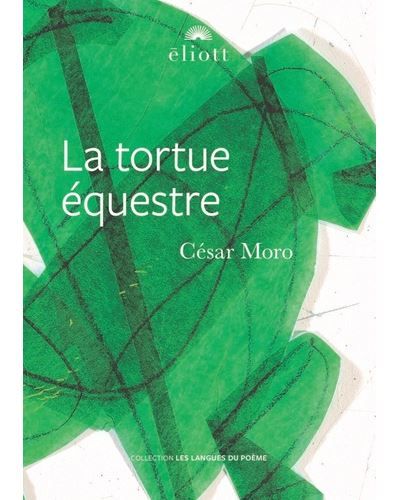 La tortue equestre