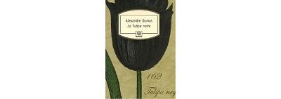 La Tulipe noire