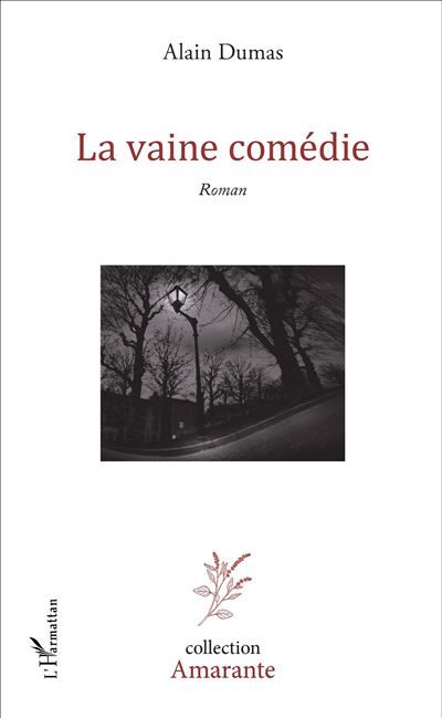 La vaine comédie Roman