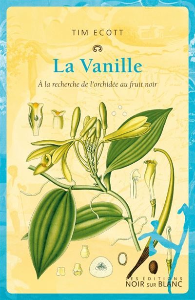 La vanille À la recherche de l'orchidée au fruit noir
