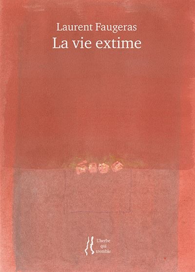 La vie extime