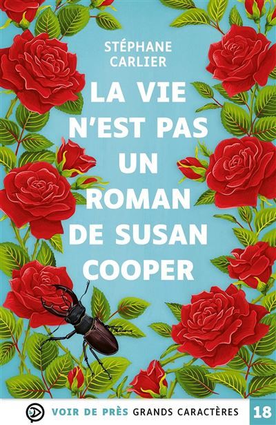 La vie n'est pas un roman de susan cooper Grands caractères, édition accessible pour les malvoyants