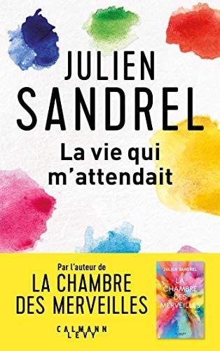 La vie qui m'attendait roman