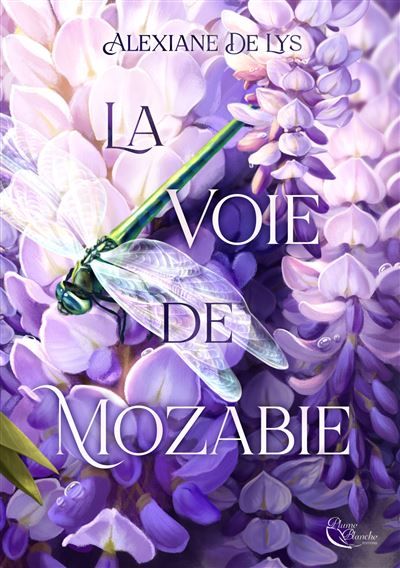 La Voie de Mozabie