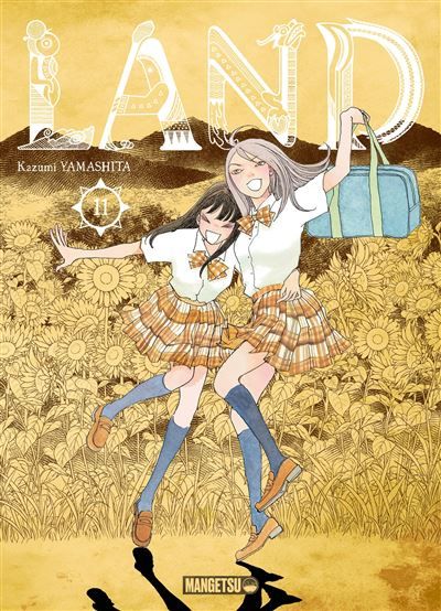 Land T11