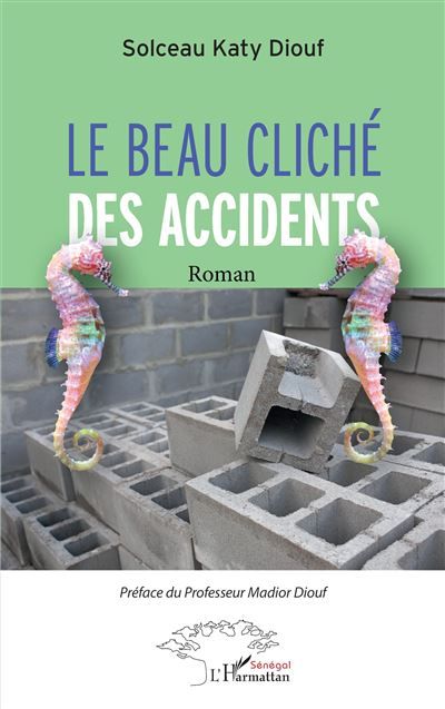 Le beau cliché des accidents Roman