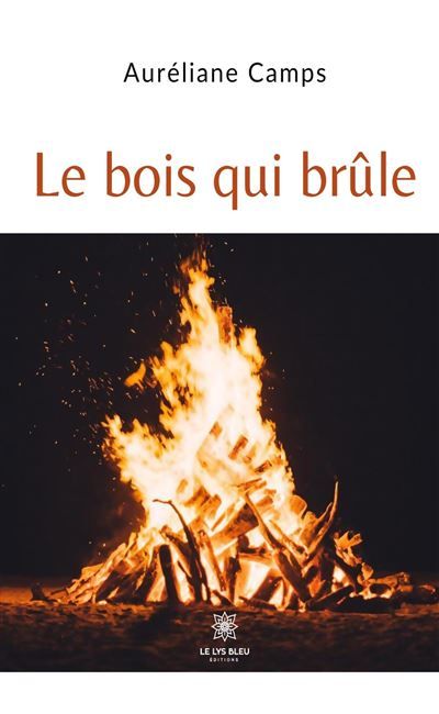 Le bois qui brûle