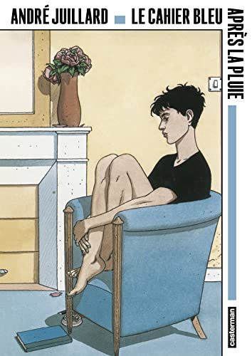 Couverture de Le cahier bleu suivi de Après la pluie par André Juillard
