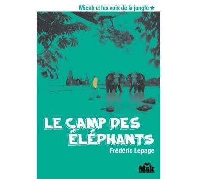 Le camp des éléphants