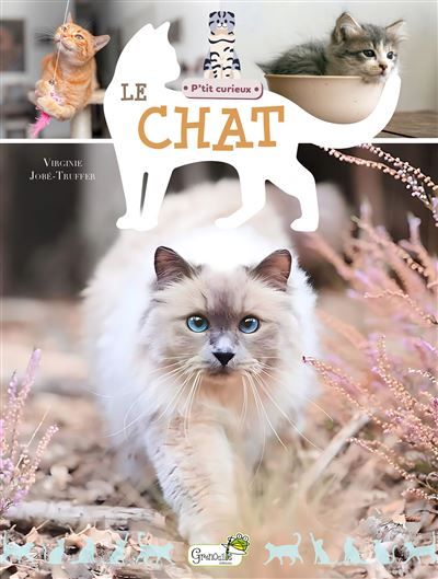 Le chat
