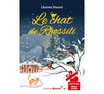 Le Chat de Rhossili