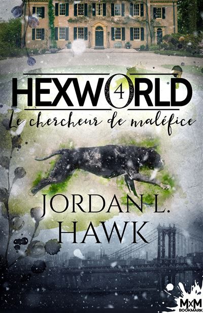 Le chercheur de maléfice Hexworld, T4