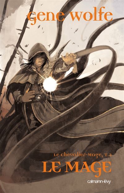 Le Chevalier Mage, t2 : Le mage Tome 2 - Benjamin Carré