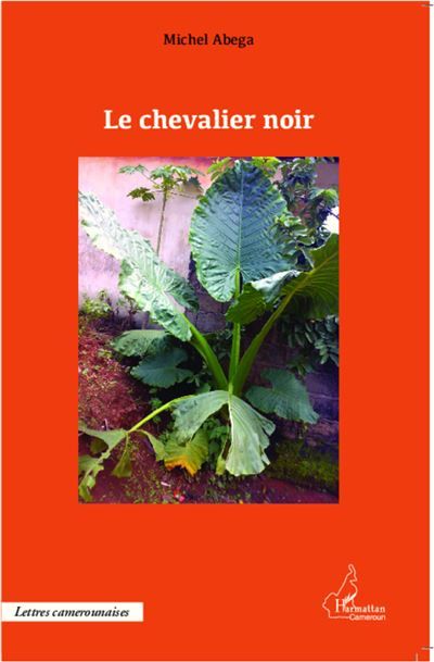 Le chevalier noir