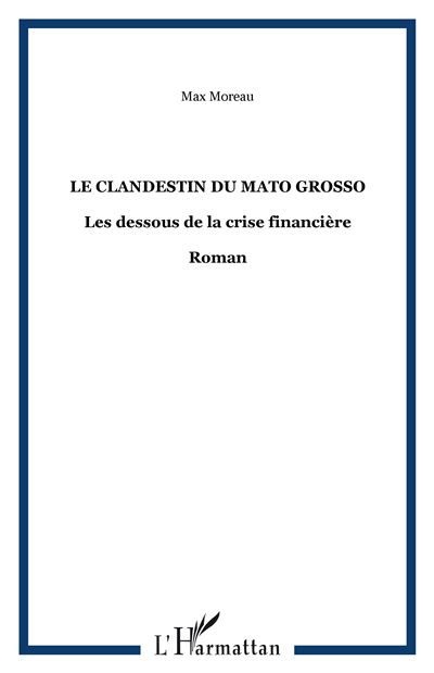 Le clandestin du Mato Grosso Les dessous de la crise financière - Roman