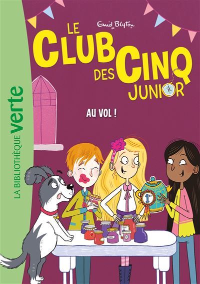 Le Club des Cinq Junior, Tome 15 - Au vol !