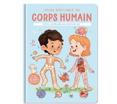 Le corps humain