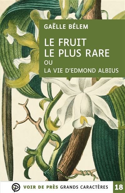 Le fruit le plus rare ou la vie d'edmond albius Grands caractères, édition accessible pour les malvoyants