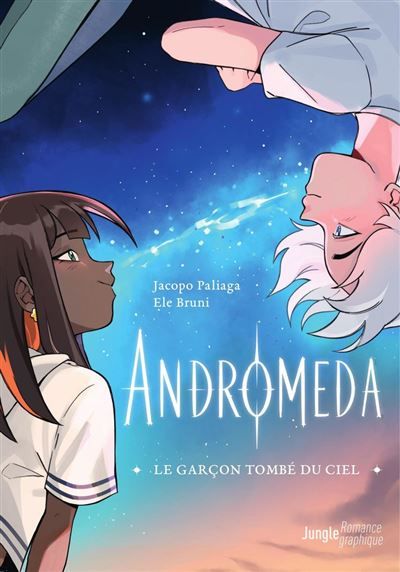 Couverture de Le garçon tombé du ciel par Jacopo Paliaga