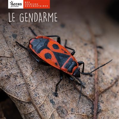 Le gendarme Mes premiers documentaires