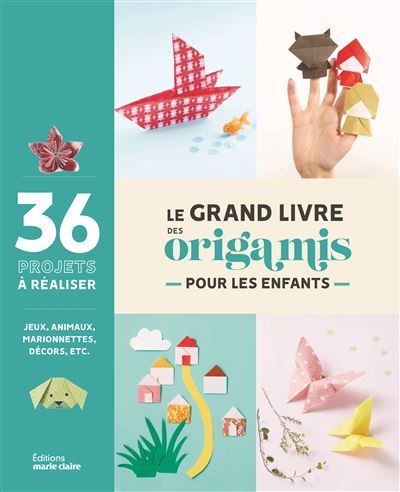 Le grand livre des origamis pour les enfants Les origamis à portée de main pour les plus petits !