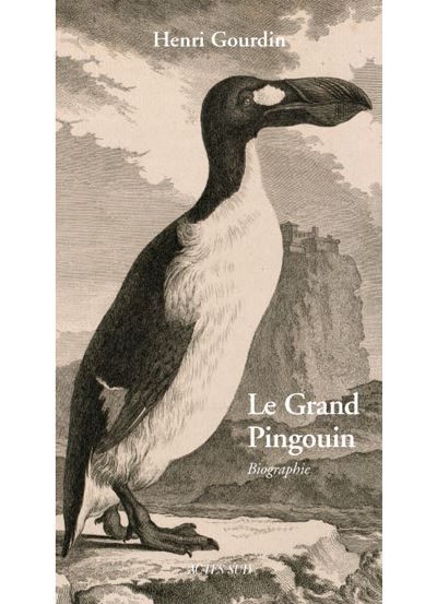 Le Grand Pingouin Pinguinus impennis - Biographie