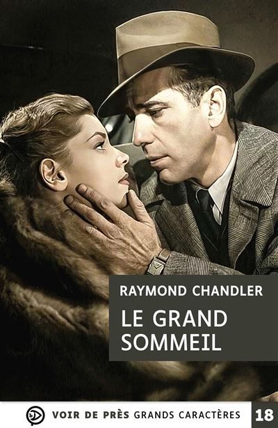 Le grand sommeil Grands caractères, édition accessible pour les malvoyants