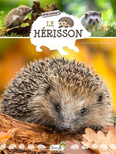 Le hérisson