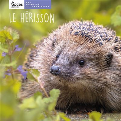 Le hérisson Mes premiers documentaires