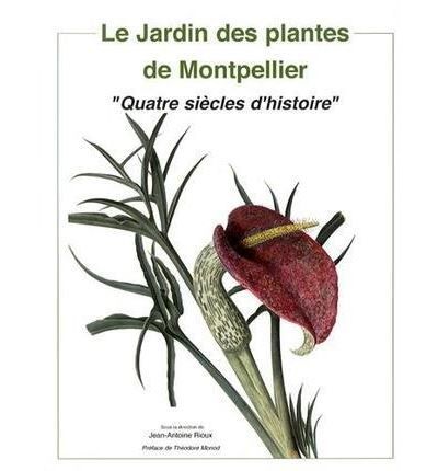 Le jardin des plantes de montpellier Quatre siècles d'histoire - Jean Antoine Rioux