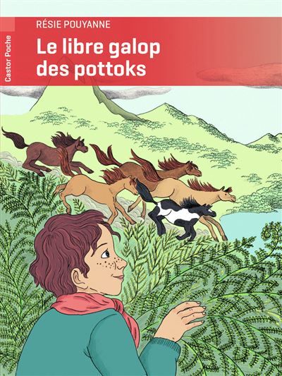 Le libre galop des pottoks