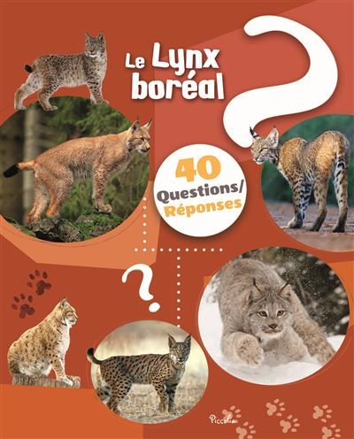 Le lynx - 40 questions / réponses