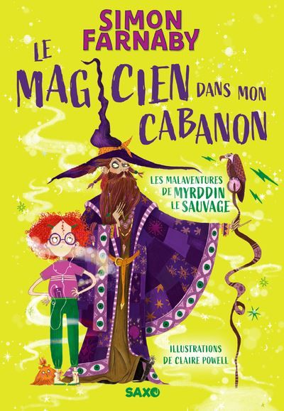 Le Magicien dans mon cabanon - Tome 01 Les malaventures de Myrddin le sauvage (broché)
