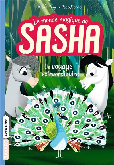 Le monde magique de Sasha, Tome 02 Un voyage extraordinaire