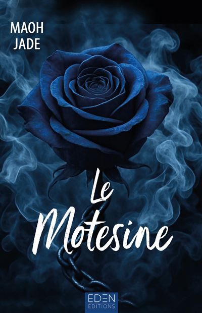 Le Motesine Les Matches Boys T2