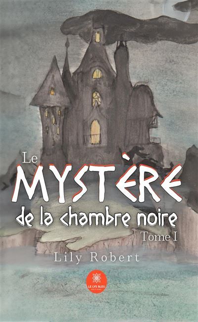 Le mystère de la chambre noire Tome I
